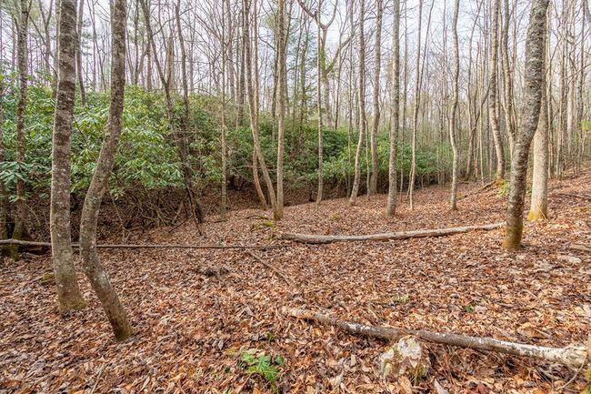 000 Miriam Road, Home with 0 bedrooms, 0 bathrooms and null parking in Dugspur VA | Image 16