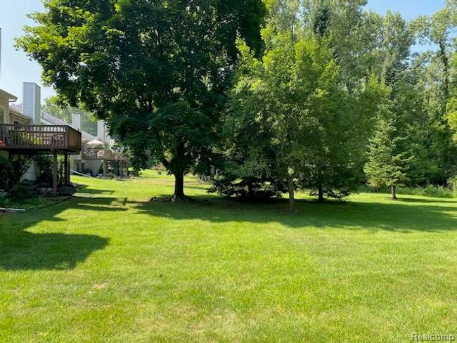 IMG_3708.jpg | Image 11