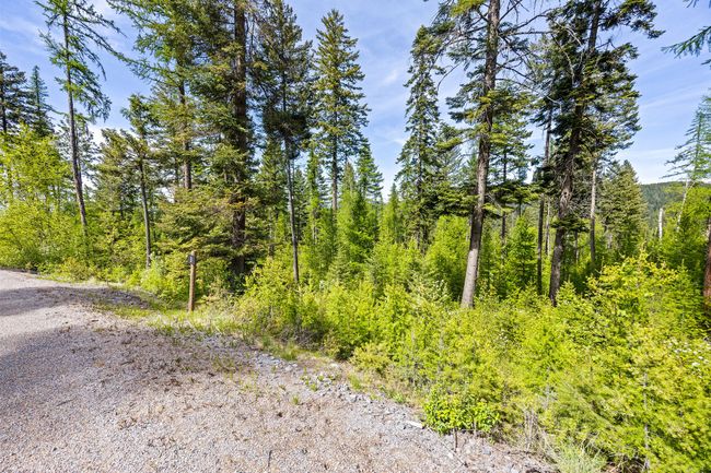 397 Saddlehorn Trl, Home with 0 bedrooms, 0 bathrooms and null parking in Bigfork MT | Image 27