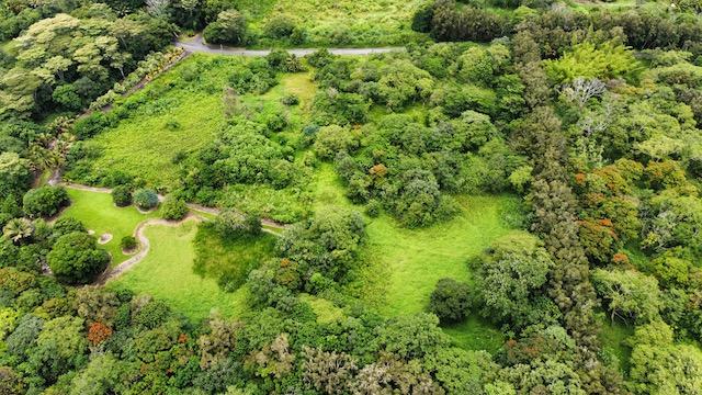 Land in Pahoa 4