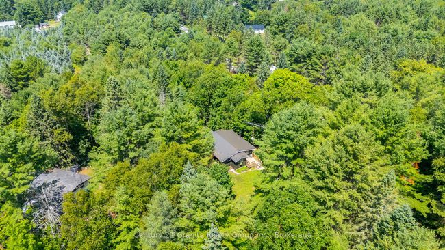 10979 Highway 118, House other with 3 bedrooms, 1 bathrooms and 8 parking in Algonquin Highlands ON | Image 38