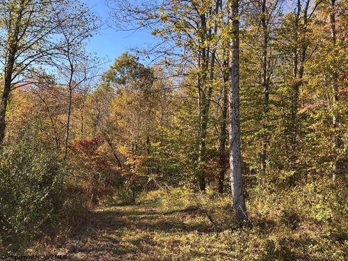 LOT 22 Island Rd, Belington, WV, 26250-6104 | Card Image