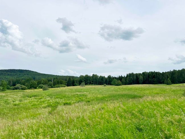 2142 Willoughby Lake Rd, House other with 0 bedrooms, 0 bathrooms and null parking in Barton VT | Image 5