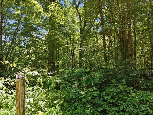 Lot 29 Chickasaw Trl, Blowing Rock, NC, 28605 | Card Image