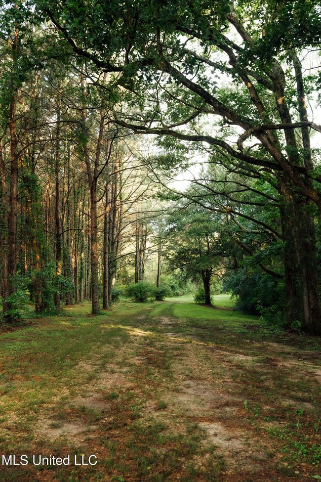 JG Puckett Cabin Pics-6 | Image 15