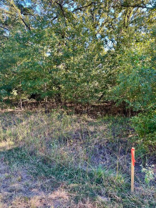 291 Buena Vis, Malakoff, TX, 75148 | Card Image