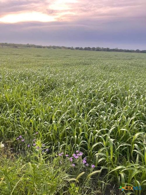 TBD Private Rd, Copperas Cove, TX, 76522 | Card Image