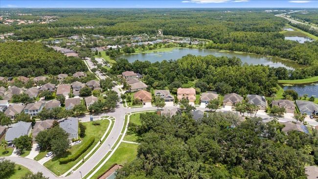 Aerial Of Community | Image 76