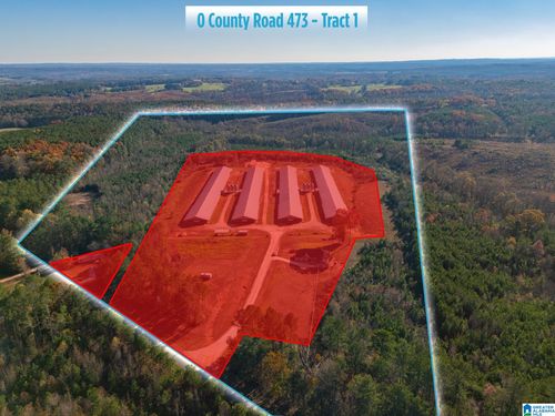 1-0 County Road 473, Newell, AL, 36280 | Card Image