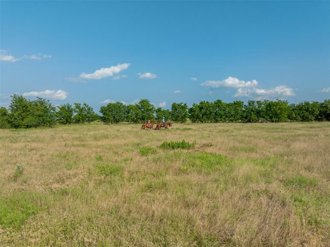 317 Memory Ln, Home with 0 bedrooms, 0 bathrooms and null parking in Burton TX | Image 10