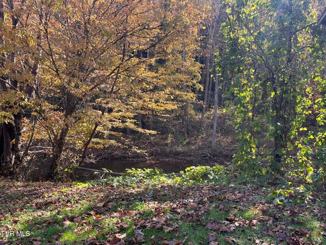 1208 Doe Creek Rd, House other with 1 bedrooms, 1 bathrooms and null parking in Butler TN | Image 10