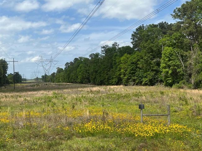 18157 State Highway 87 S, Home with 2 bedrooms, 1 bathrooms and 1 parking in Call TX | Image 27