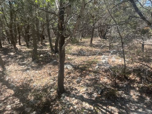 1381 Western Skies Drive, Spring Branch, TX, 78070 | Card Image