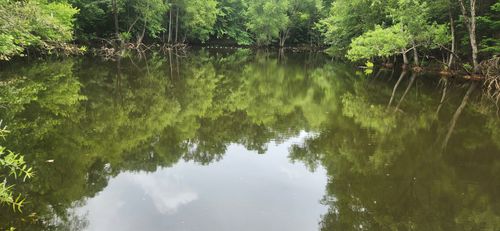 0 Aaron Ln, Nunnelly, TN, 37137 | Card Image