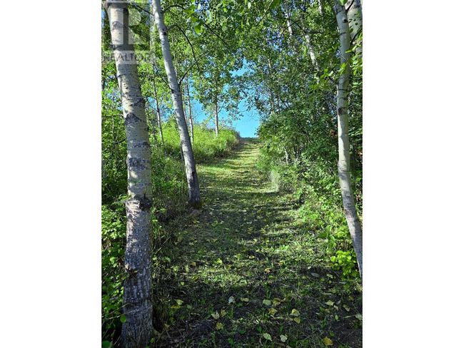 4256 Spur Rd, Home with 0 bedrooms, 0 bathrooms and null parking in Big Lake Ranch BC | Image 10