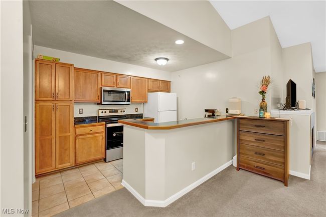 APT-339 - 23003 Chandlers Ln, Condo with 3 bedrooms, 2 bathrooms and null parking in Olmsted Falls OH | Image 19
