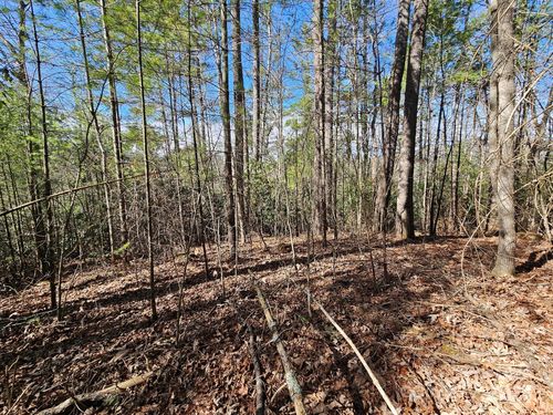 00 Chenoa Ridge Rd, Waynesville, NC, 28785 | Card Image