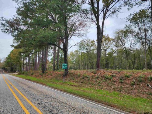 LOT 1 - TBD Ne Cr 363, Winona, TX, 75792 | Card Image