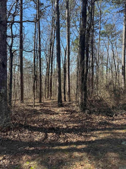 000 Oyler Rd, Clinton, AR, 72031 | Card Image