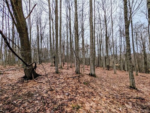 24 Worden Rd, Oswego, NY, 13126-6517 | Card Image