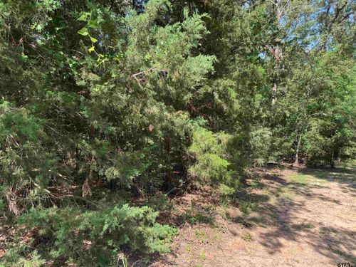 Lot 4 Cypress Creek Dr, Mt Vernon, TX, 75457 | Card Image