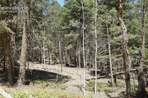 616 Indian Creek Rd, Florissant, CO, 80816-7050 | Card Image