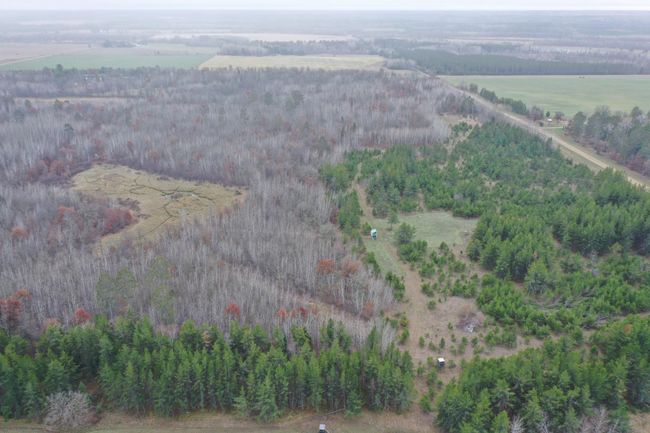 DJI_0608.JPG | Image 8