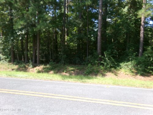 0 Green Elkins Rd, Clarkton, NC, 28433 | Card Image