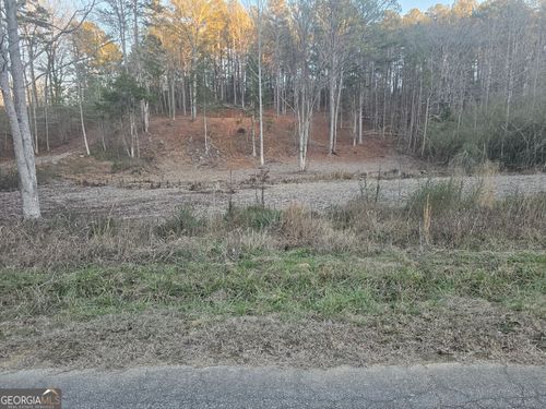 0 Santa Claus Rd, Cedartown, GA, 30125 | Card Image