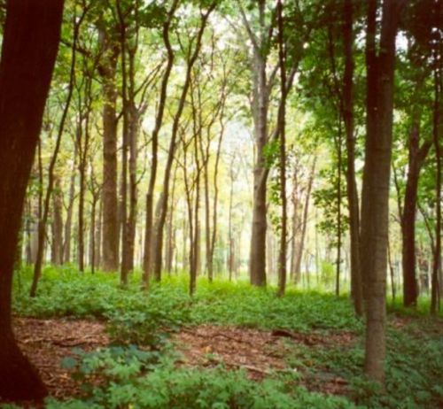 4 Winterberry Ln, North Easton, MA, 02356-1389 | Card Image