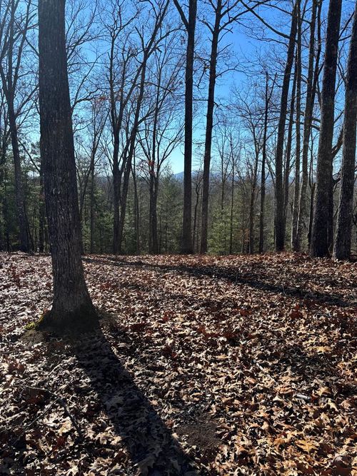 Lot 64 Thundering Hl, Murphy, NC, 28906 | Card Image