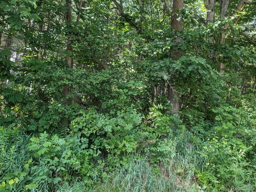 Parcel E Bassett, Elba Township, MI, 48446 | Card Image