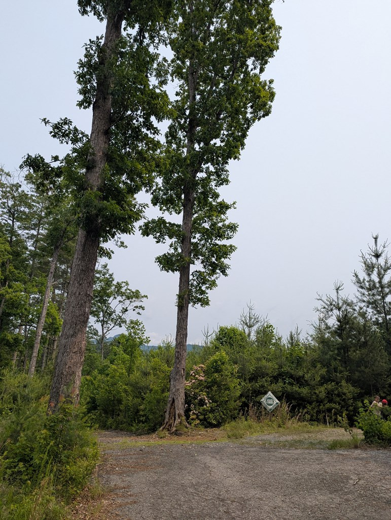 Land in Murphy 2