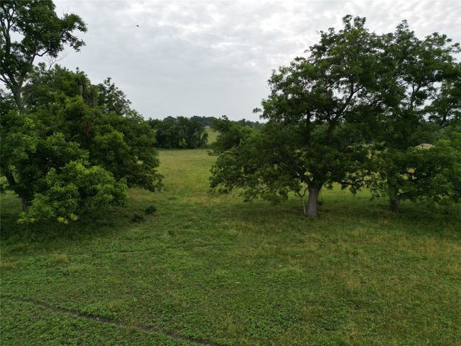 231 Fm 100, Home with 0 bedrooms, 0 bathrooms and null parking in Honey Grove TX | Image 34