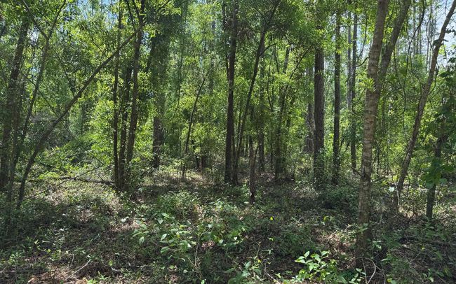 TBD 172 Nd Trce, Home with 0 bedrooms, 0 bathrooms and null parking in LIVE OAK FL | Image 9