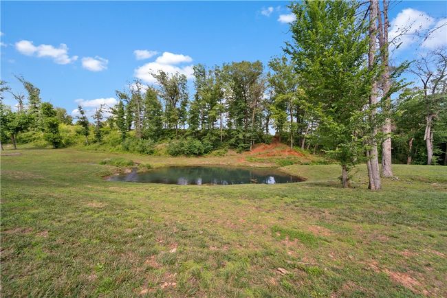 Amenity area-Stillhouse Spring pond | Image 9