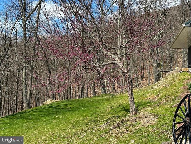 19 Homes At Timber Knl, House other with 4 bedrooms, 3 bathrooms and null parking in Scherr WV | Image 51