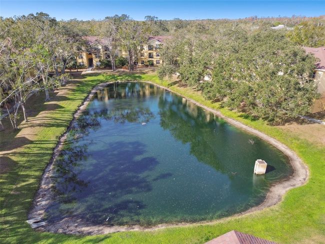 APT-304 - 5606 Pinnacle Heights Cir, Condo with 2 bedrooms, 2 bathrooms and null parking in TAMPA FL | Image 58