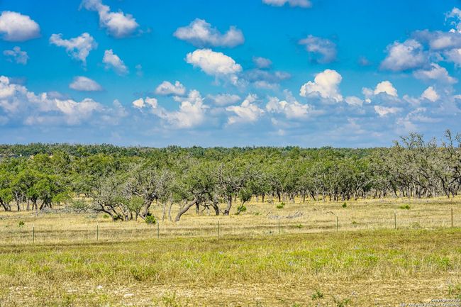 436 Stevens Ranch Rd, Home with 0 bedrooms, 0 bathrooms and null parking in Harper TX | Image 29