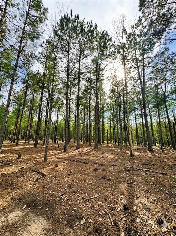 Land in Broken Bow 3