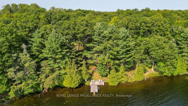 1091 Lindey Lane, House other with 3 bedrooms, 1 bathrooms and 8 parking in North Frontenac ON | Image 48