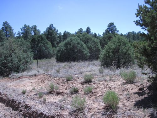 16 Camino Circular, Tijeras, NM, 87059 | Card Image