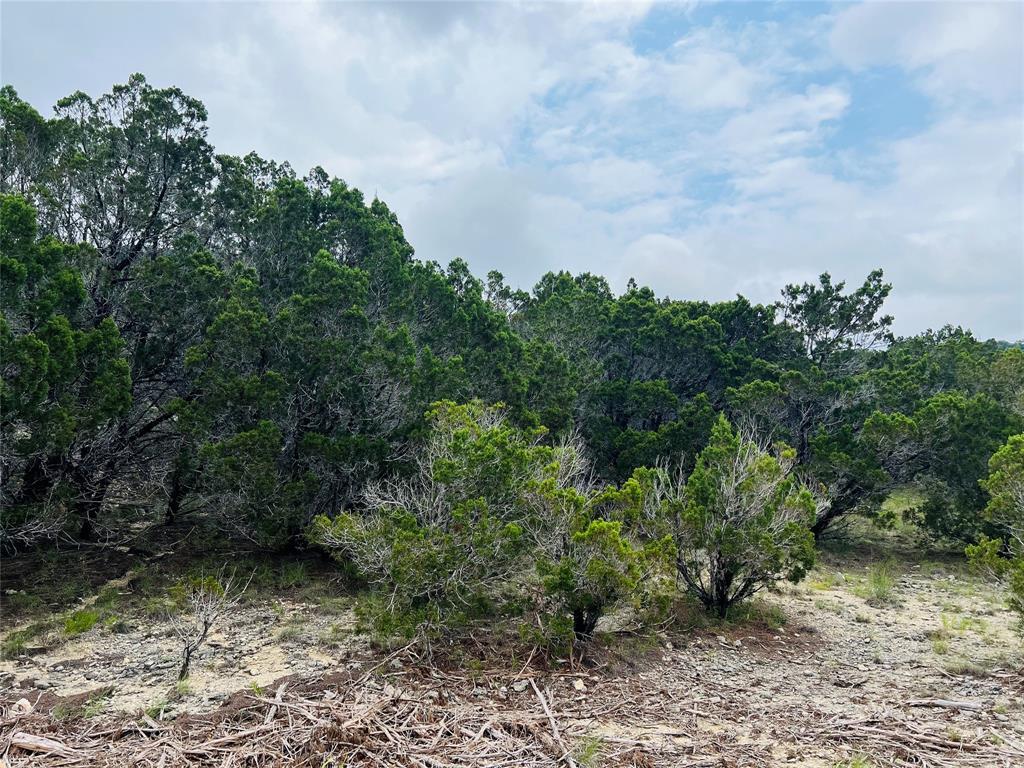 Land in Lago Vista 3
