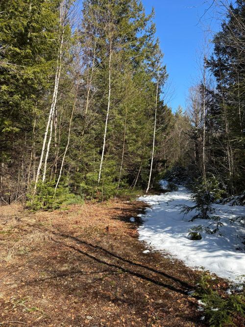4 Bog Brook Loop, West Paris, ME, 04289 | Card Image