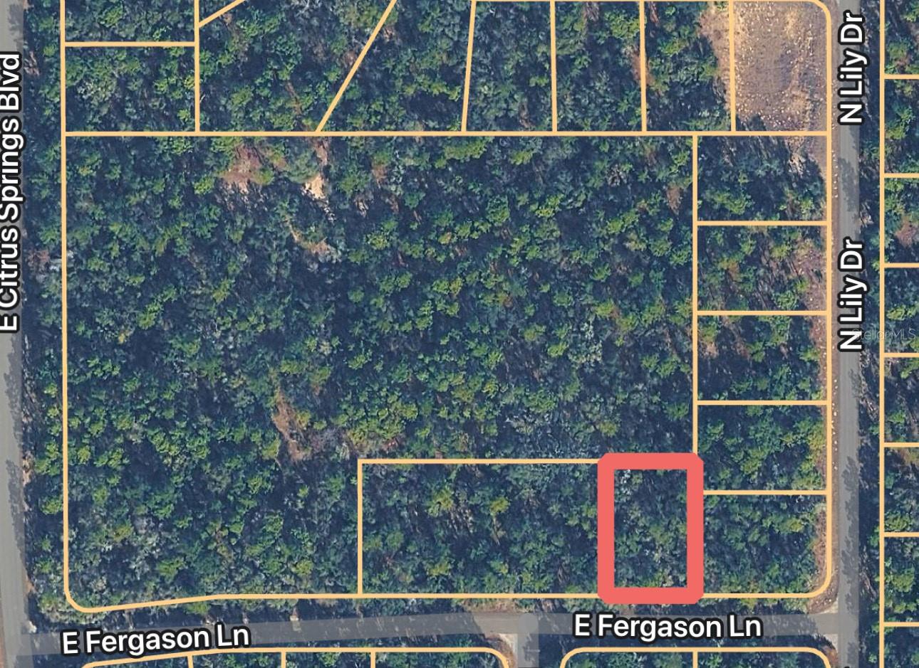 Land in DUNNELLON
