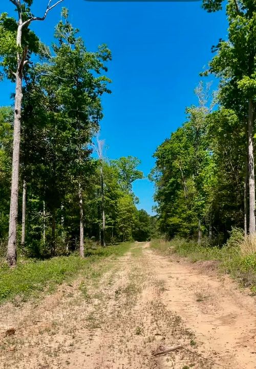 000 Fm 1005, Jasper, TX, 75951 | Card Image