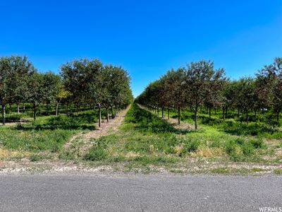 5 - 2174 N York Ln, Home with 0 bedrooms, 0 bathrooms and null parking in Genola UT | Image 1