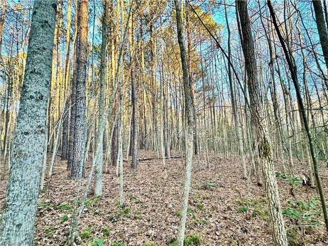 00 Farmstead Rd, Home with 0 bedrooms, 0 bathrooms and null parking in Seagrove NC | Image 36