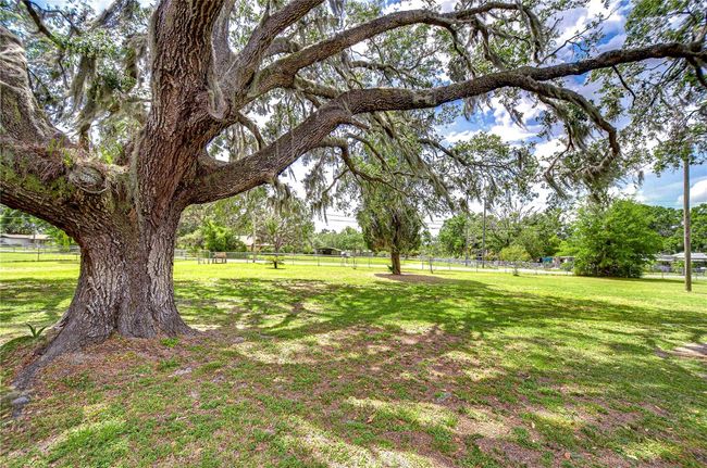 8320 Purvis Rd, House other with 3 bedrooms, 1 bathrooms and null parking in LITHIA FL | Image 39