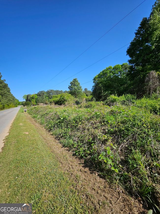 0 Dixie Hwy, Home with 0 bedrooms, 0 bathrooms and null parking in Rutledge GA | Image 5